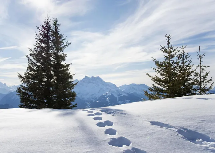 Jade 22 By Interhome Daire