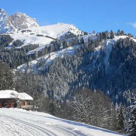 Jade 22 By Interhome Villars-sur-Ollon